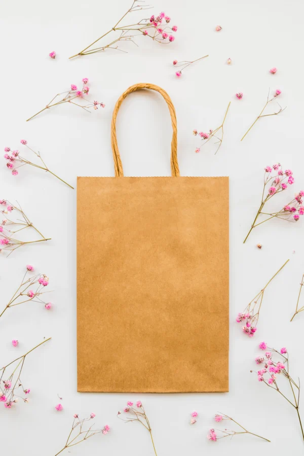 Kraft Paper Bag with Twisted Handle – Eco-Friendly & Durable